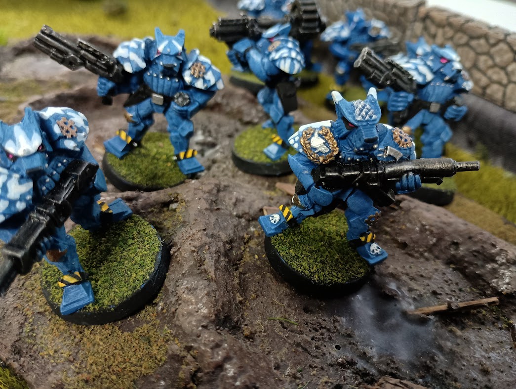 Armored soldier with wolf helmets march across a battlefield. Bauhaus Wolfhead Dragoons from Warzone.